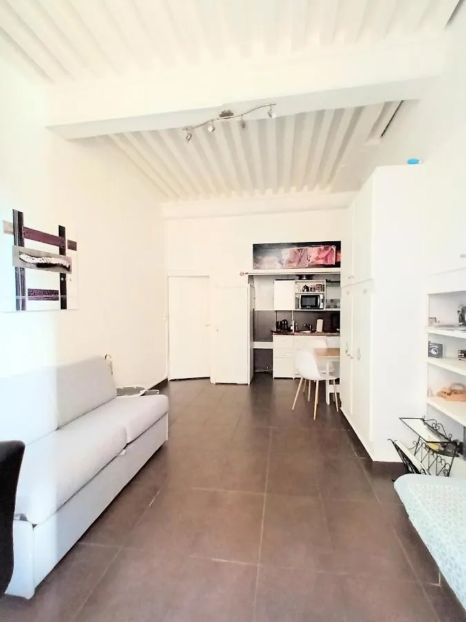 Nest In Heart Of Lyon Apartment